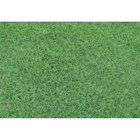 ݸĽ
