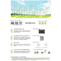 爱纳菲无钢圈内衣质量真的好吗 穿着舒服吗