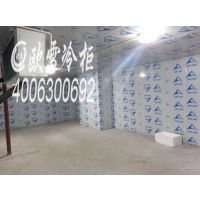 ӱ102030䶳ļұȽרҵ