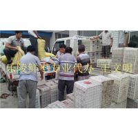 山东鲜枣产地供应信息