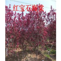 챦ʯ_챦ʯ_챦ʯС(鿴)