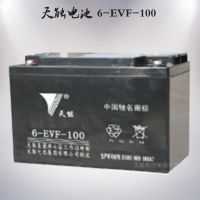 6-EVF-100