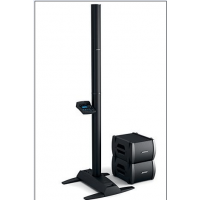 BOSE-
