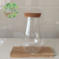 苔藓微景观植物制作容器 微景观生态瓶 创意DIY水滴木塞生态瓶