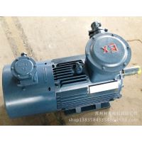 ʵҸ첽綯YBPT-355L2-4 315KWƵ