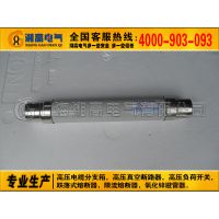 SDLAJ-12KV/40Aѹ߷ֶ۶