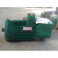 ӦYZR160M2-6/7.5KW-B5ת