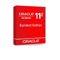 ׹ݿOracle 11G ҵ 25û 湺