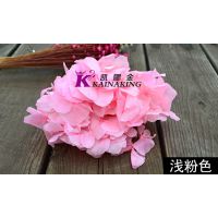 云南永生花花材大叶绣球保鲜花 创意七夕情人节礼品DIY花艺***