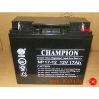 12V24AH