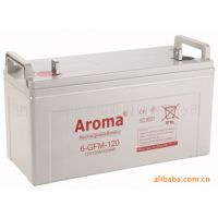 Aroma6-FM-24 12V24AH/20HR/***۸