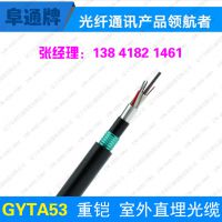 GYTA53-8B1双铠双护套单模8芯室外直埋光缆带彩条