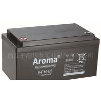 Aroma6-FM-24 12V24AH/20HR/***۸