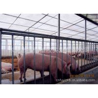 供应寿命达10年以上PE万通板 3mm万通板***格 PE塑料万通板