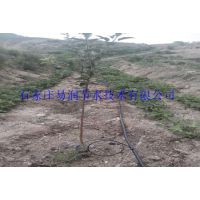 【專業(yè)生產(chǎn)】海南文昌市荔枝果園滴灌設(shè)備