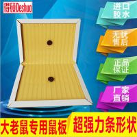 ˶óͰɫճ峧(mouse glue trap)OEM