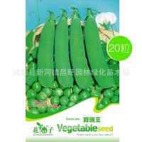 甜豌豆种子 寒豆 麦豆菜籽 家庭室内阳台种盆栽蔬菜种子 一袋20粒