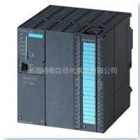 ӦCPU313C-2DPܴ