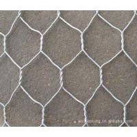现货供应 金属制品 不锈钢网 镀锌、浸塑、涤纶、六角网 镀锌铁丝