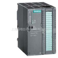 ӦCPU313C-2DP