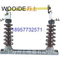 ӦRW6 RW6-66kV⽻ѹʽ۶