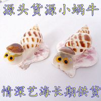 海螺贝壳工艺品小礼品创意新品摆件小蜗牛地摊热卖新品摆件批发