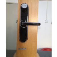 ***SCHLAGEܵ