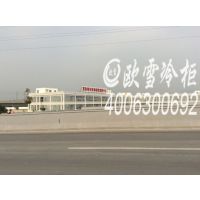 ӱʼ䶳ŷѩֱ