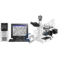 济南时代新科 4XC-W金相显微镜|金属金相组织分析仪器