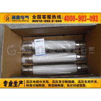 XRNT-10KV/50A߷ֶѹ۶
