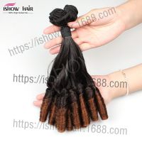 ˷Funmi Hair ˫ɫֱͲ***ӷһ