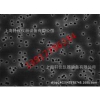 GTTP01300Millipore Isopore̼0.2umˮ13mmĤ