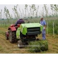 供应场上行走式秸杆打捆机新款青秸杆收集打包机售价