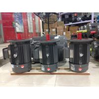 上海德東電機(jī)廠***(YE2-250M-4 55KW)4極 異步電動(dòng)機(jī)