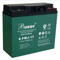 ͺ6-FMJ-90۸/BUDDYǦ12V90AH