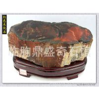 奇石新疆硅化木树化玉木化石阿富汗玉红碧玉原石头 红皮木化石01