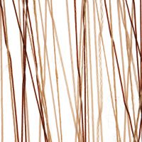 slant jute3form֬壬֬
