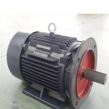 Ϻ1TL0001-200L-18.5KW ӱõ6ֻ