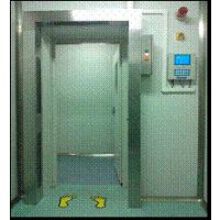 BG3400-503型门式全身伽玛污染检测仪