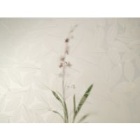 fossil leaf random3form֬壬֬