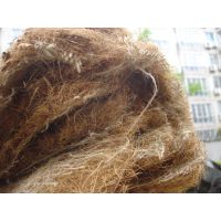 椰丝植被毯 纤维护坡植草毯多少钱