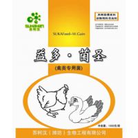 供应肉禽专用微生态制剂 提高肉鸡日增重 ******菌痢