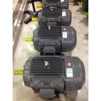 上海德东电机供应 （YE2-225M-2 45KW） 三相异步电机