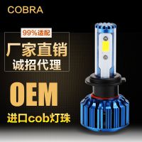 led LEDͷ H4ƿLEDƳֱ