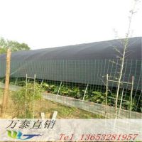 方格养殖围栏网 农家院防护围墙网 农业防护围栏网价格