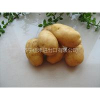 Ӧnew crop potato