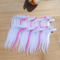 現(xiàn)貨批發(fā)塑料牙線 口腔保健牙線棒 牙線口腔清潔 經(jīng)濟(jì)裝25支