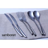 SAMBONEF͵ 304ֵ 㶫ֲ;