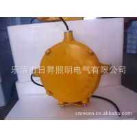 批发 直销 厂家 BTC8210 防爆投光灯 天津 日昇照明 供应