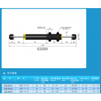 ѹSCD2030-1CEC